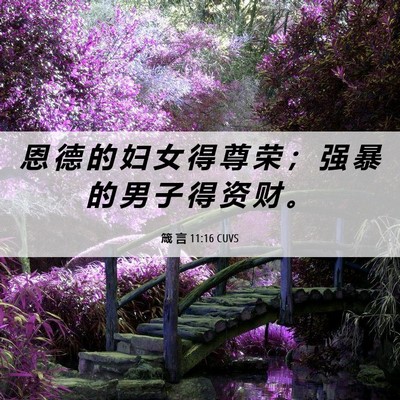 Picture 06 - 箴 言 11:16 CUVS - 恩 德 的 妇 女 得 尊 荣 ； 强 暴 的 - Bible Verse Picture
