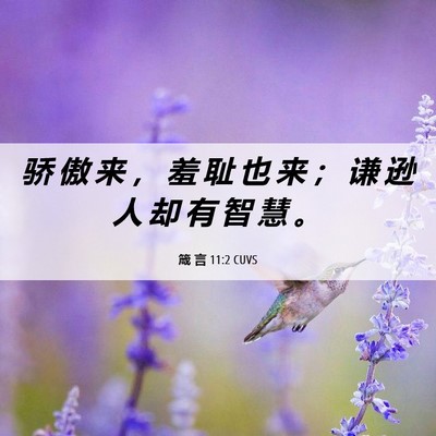 Picture 06 - 箴 言 11:2 CUVS - 骄 傲 来 ， 羞 耻 也 来 ； 谦 逊 人 - Bible Verse Picture