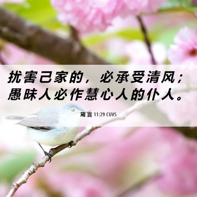 Picture 06 - 箴 言 11:29 CUVS - 扰 害 己 家 的 ， 必 承 受 清 风 ； - Bible Verse Picture
