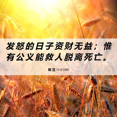 Picture 06 - 箴 言 11:4 CUVS - 发 怒 的 日 子 资 财 无 益 ； 惟 有 - Bible Verse Picture