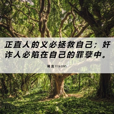Picture 06 - 箴 言 11:6 CUVS - 正 直 人 的 义 必 拯 救 自 己 ； 奸 - Bible Verse Picture