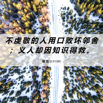 Picture 06 - 箴 言 11:9 CUVS - 不 虔 敬 的 人 用 口 败 坏 邻 舍 ； - Bible Verse Picture