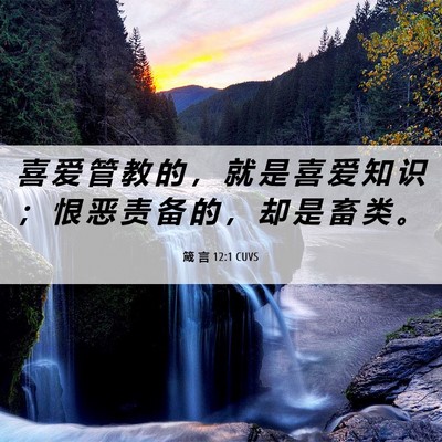 Picture 06 - 箴 言 12:1 CUVS - 喜 爱 管 教 的 ， 就 是 喜 爱 知 识 - Bible Verse Picture
