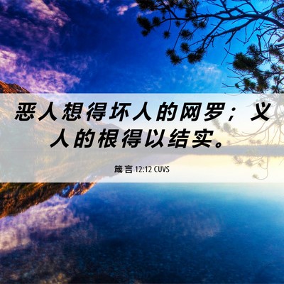 Picture 06 - 箴 言 12:12 CUVS - 恶 人 想 得 坏 人 的 网 罗 ； 义 人 - Bible Verse Picture