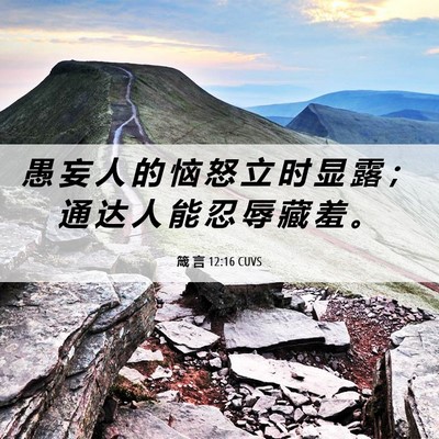 Picture 06 - 箴 言 12:16 CUVS - 愚 妄 人 的 恼 怒 立 时 显 露 ； 通 - Bible Verse Picture