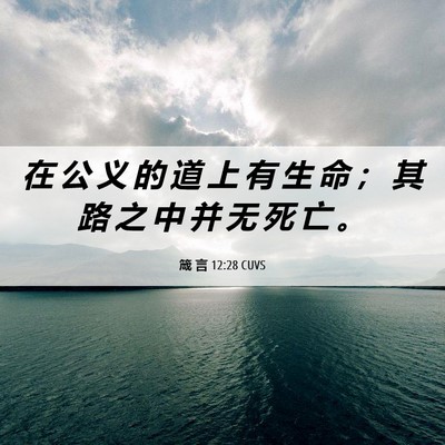 Picture 06 - 箴 言 12:28 CUVS - 在 公 义 的 道 上 有 生 命 ； 其 路 - Bible Verse Picture
