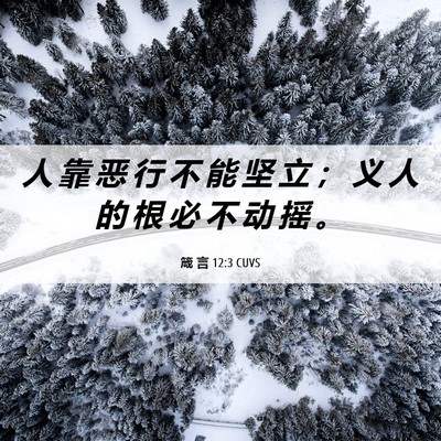 Picture 06 - 箴 言 12:3 CUVS - 人 靠 恶 行 不 能 坚 立 ； 义 人 的 - Bible Verse Picture