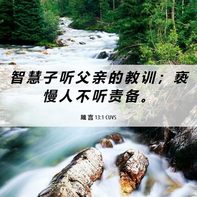 Picture 06 - 箴 言 13:1 CUVS - 智 慧 子 听 父 亲 的 教 训 ； 亵 慢 - Bible Verse Picture