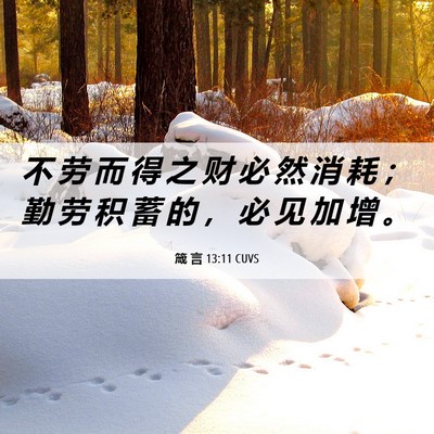 Picture 06 - 箴 言 13:11 CUVS - 不 劳 而 得 之 财 必 然 消 耗 ； 勤 - Bible Verse Picture