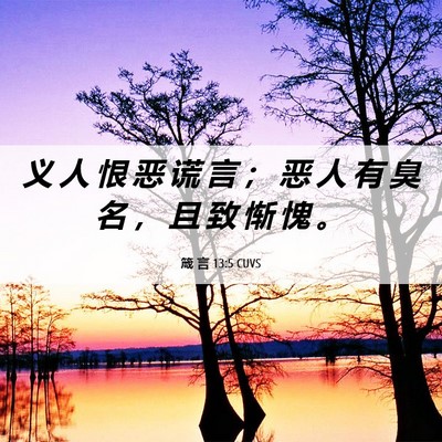 Picture 06 - 箴 言 13:5 CUVS - 义 人 恨 恶 谎 言 ； 恶 人 有 臭 名 - Bible Verse Picture