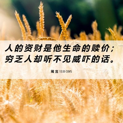 Picture 06 - 箴 言 13:8 CUVS - 人 的 资 财 是 他 生 命 的 赎 价 ； - Bible Verse Picture