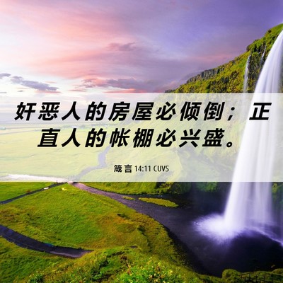 Picture 06 - 箴 言 14:11 CUVS - 奸 恶 人 的 房 屋 必 倾 倒 ； 正 直 - Bible Verse Picture