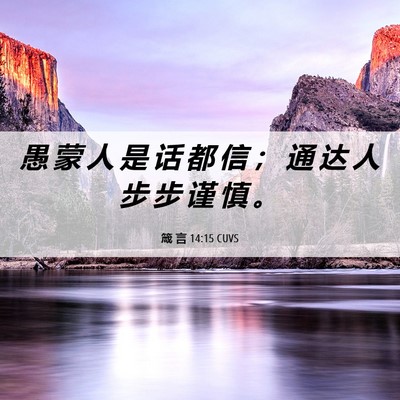Picture 06 - 箴 言 14:15 CUVS - 愚 蒙 人 是 话 都 信 ； 通 达 人 步 - Bible Verse Picture