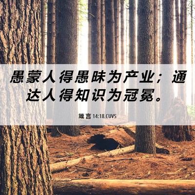 Picture 06 - 箴 言 14:18 CUVS - 愚 蒙 人 得 愚 昧 为 产 业 ； 通 达 - Bible Verse Picture