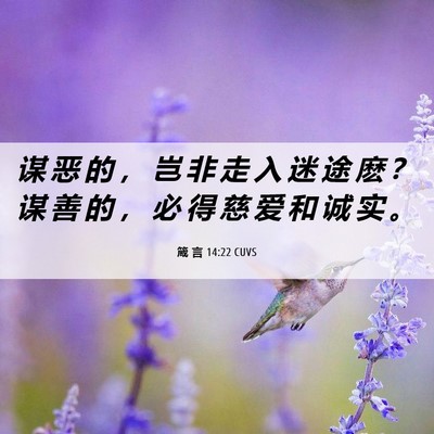 Picture 06 - 箴 言 14:22 CUVS - 谋 恶 的 ， 岂 非 走 入 迷 途 麽 ？ - Bible Verse Picture