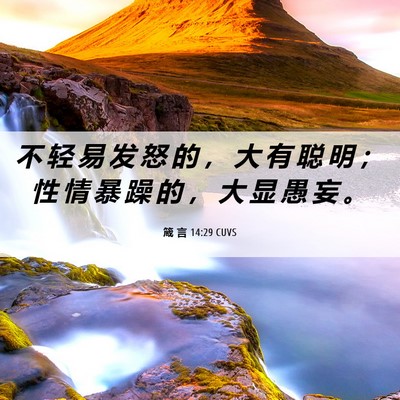 Picture 06 - 箴 言 14:29 CUVS - 不 轻 易 发 怒 的 ， 大 有 聪 明 ； - Bible Verse Picture