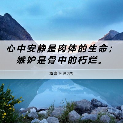 Picture 06 - 箴 言 14:30 CUVS - 心 中 安 静 是 肉 体 的 生 命 ； 嫉 - Bible Verse Picture