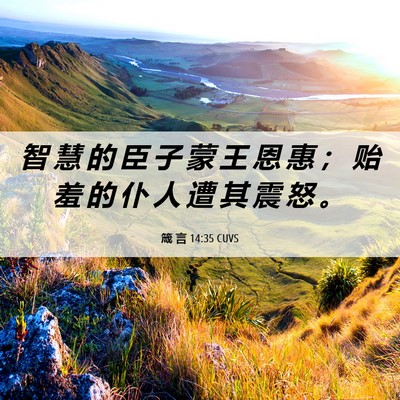 Picture 06 - 箴 言 14:35 CUVS - 智 慧 的 臣 子 蒙 王 恩 惠 ； 贻 羞 - Bible Verse Picture
