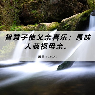 Picture 06 - 箴 言 15:20 CUVS - 智 慧 子 使 父 亲 喜 乐 ； 愚 昧 人 - Bible Verse Picture