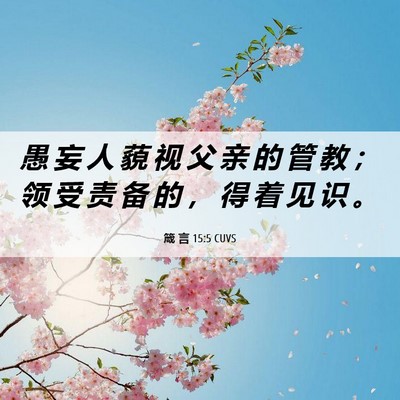 Picture 06 - 箴 言 15:5 CUVS - 愚 妄 人 藐 视 父 亲 的 管 教 ； 领 - Bible Verse Picture