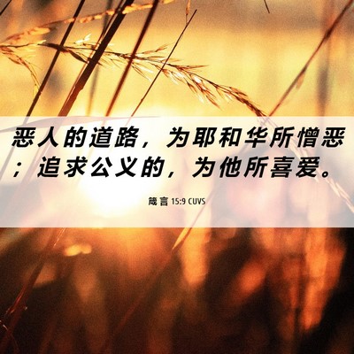 Picture 06 - 箴 言 15:9 CUVS - 恶 人 的 道 路 ， 为 耶 和 华 所 憎 - Bible Verse Picture