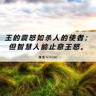 Picture 06 - 箴 言 16:14 CUVS - 王 的 震 怒 如 杀 人 的 使 者 ； 但 - Bible Verse Picture