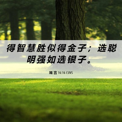 Picture 06 - 箴 言 16:16 CUVS - 得 智 慧 胜 似 得 金 子 ； 选 聪 明 - Bible Verse Picture