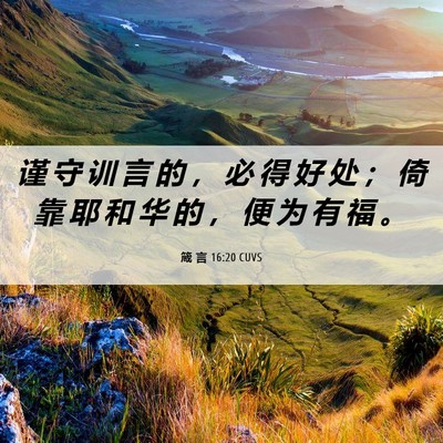 Picture 06 - 箴 言 16:20 CUVS - 谨 守 训 言 的 ， 必 得 好 处 ； 倚 - Bible Verse Picture