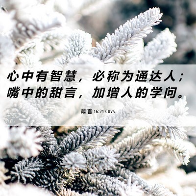 Picture 06 - 箴 言 16:21 CUVS - 心 中 有 智 慧 ， 必 称 为 通 达 人 - Bible Verse Picture