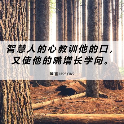 Picture 06 - 箴 言 16:23 CUVS - 智 慧 人 的 心 教 训 他 的 口 ， 又 - Bible Verse Picture