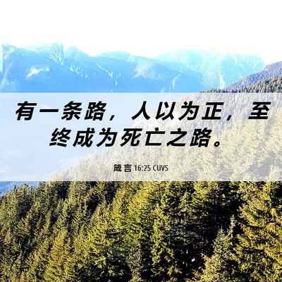 Picture 06 - 箴 言 16:25 CUVS - 有 一 条 路 ， 人 以 为 正 ， 至 终 - Bible Verse Picture