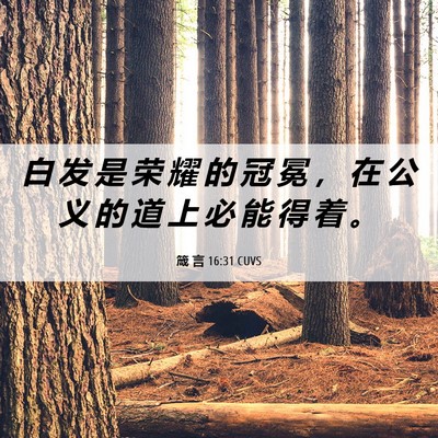 Picture 06 - 箴 言 16:31 CUVS - 白 发 是 荣 耀 的 冠 冕 ， 在 公 义 - Bible Verse Picture