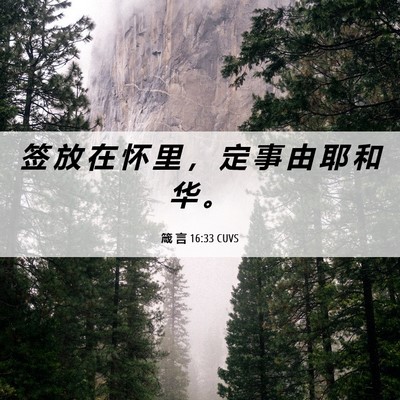 Picture 06 - 箴 言 16:33 CUVS - 签 放 在 怀 里 ， 定 事 由 耶 和 华 - Bible Verse Picture