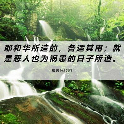 Picture 06 - 箴 言 16:4 CUVS - 耶 和 华 所 造 的 ， 各 适 其 用 ； - Bible Verse Picture