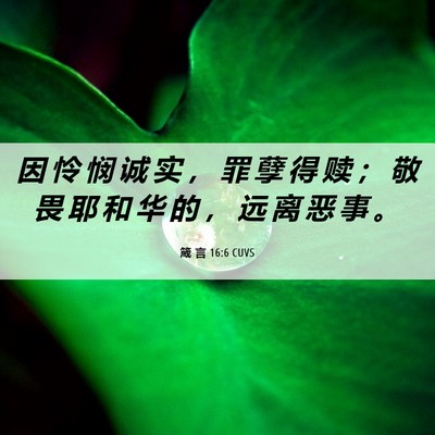Picture 06 - 箴 言 16:6 CUVS - 因 怜 悯 诚 实 ， 罪 孽 得 赎 ； 敬 - Bible Verse Picture