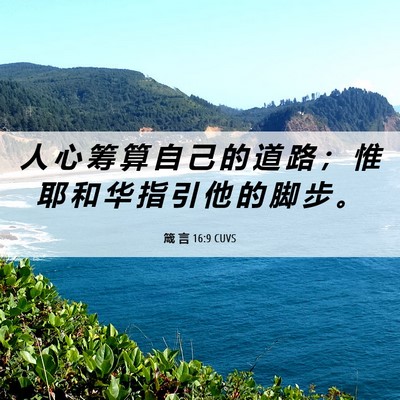 Picture 06 - 箴 言 16:9 CUVS - 人 心 筹 算 自 己 的 道 路 ； 惟 耶 - Bible Verse Picture