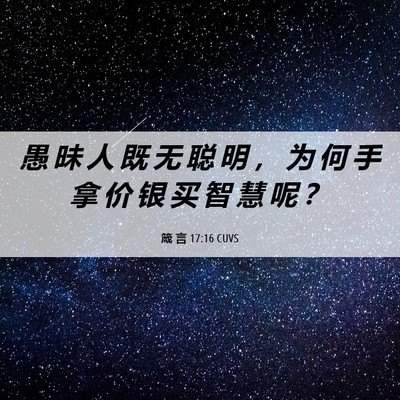 Picture 06 - 箴 言 17:16 CUVS - 愚 昧 人 既 无 聪 明 ， 为 何 手 拿 - Bible Verse Picture