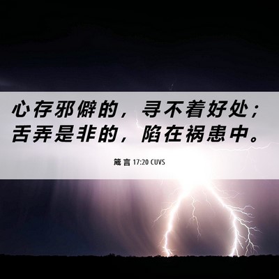 Picture 06 - 箴 言 17:20 CUVS - 心 存 邪 僻 的 ， 寻 不 着 好 处 ； - Bible Verse Picture