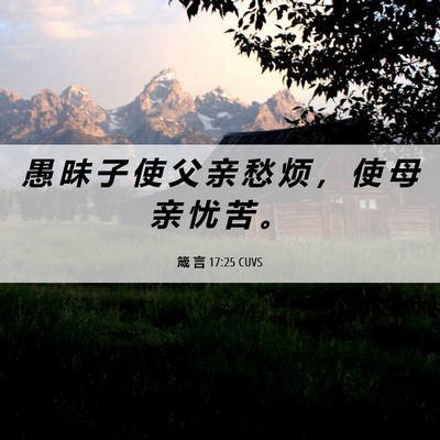 Picture 06 - 箴 言 17:25 CUVS - 愚 昧 子 使 父 亲 愁 烦 ， 使 母 亲 - Bible Verse Picture