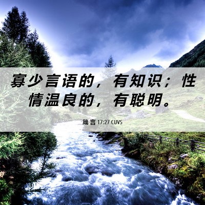 Picture 06 - 箴 言 17:27 CUVS - 寡 少 言 语 的 ， 有 知 识 ； 性 情 - Bible Verse Picture