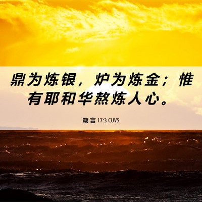 Picture 06 - 箴 言 17:3 CUVS - 鼎 为 炼 银 ， 炉 为 炼 金 ； 惟 有 - Bible Verse Picture
