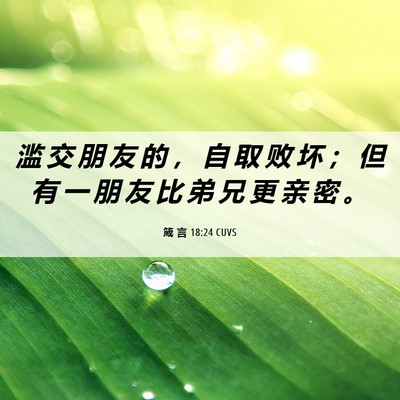 Picture 06 - 箴 言 18:24 CUVS - 滥 交 朋 友 的 ， 自 取 败 坏 ； 但 - Bible Verse Picture