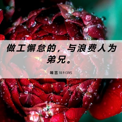 Picture 06 - 箴 言 18:9 CUVS - 做 工 懈 怠 的 ， 与 浪 费 人 为 弟 - Bible Verse Picture