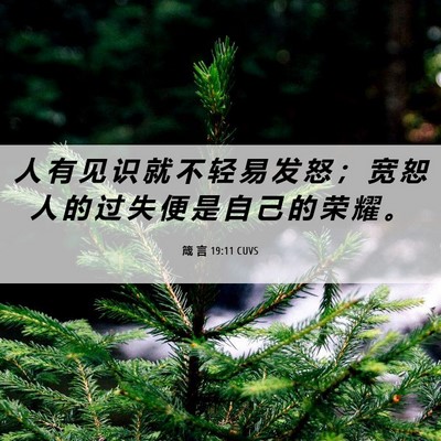 Picture 06 - 箴 言 19:11 CUVS - 人 有 见 识 就 不 轻 易 发 怒 ； 宽 - Bible Verse Picture