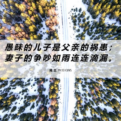 Picture 06 - 箴 言 19:13 CUVS - 愚 昧 的 儿 子 是 父 亲 的 祸 患 ； - Bible Verse Picture