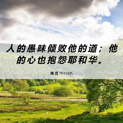 Picture 06 - 箴 言 19:3 CUVS - 人 的 愚 昧 倾 败 他 的 道 ； 他 的 - Bible Verse Picture
