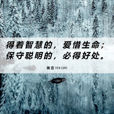 Picture 06 - 箴 言 19:8 CUVS - 得 着 智 慧 的 ， 爱 惜 生 命 ； 保 - Bible Verse Picture