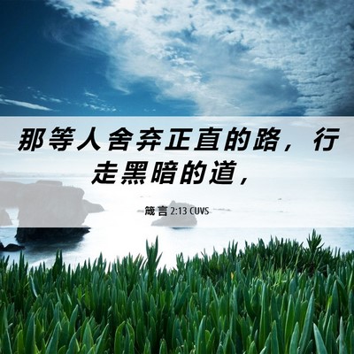 Picture 06 - 箴 言 2:13 CUVS - 那 等 人 舍 弃 正 直 的 路 ， 行 走 - Bible Verse Picture