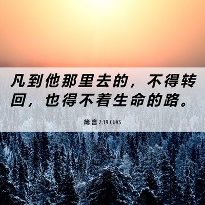 Picture 06 - 箴 言 2:19 CUVS - 凡 到 他 那 里 去 的 ， 不 得 转 回 - Bible Verse Picture