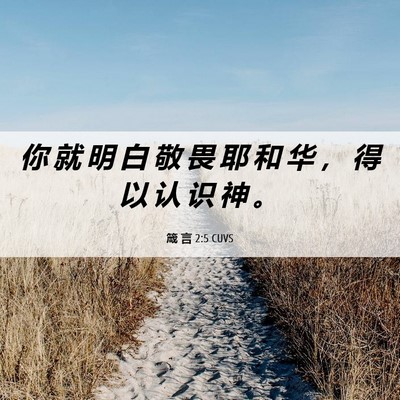 Picture 06 - 箴 言 2:5 CUVS - 你 就 明 白 敬 畏 耶 和 华 ， 得 以 - Bible Verse Picture